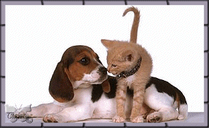 dog-graphics-dog-and-cat-678539.gif