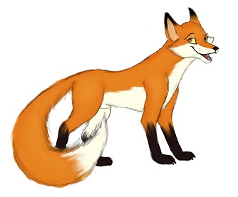 vulpe.jpg