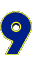 9_sar.gif
